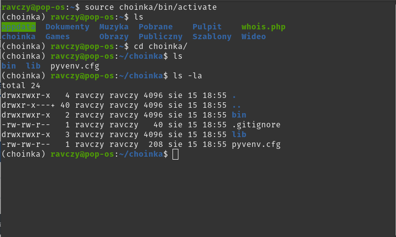 Virtualevn Python